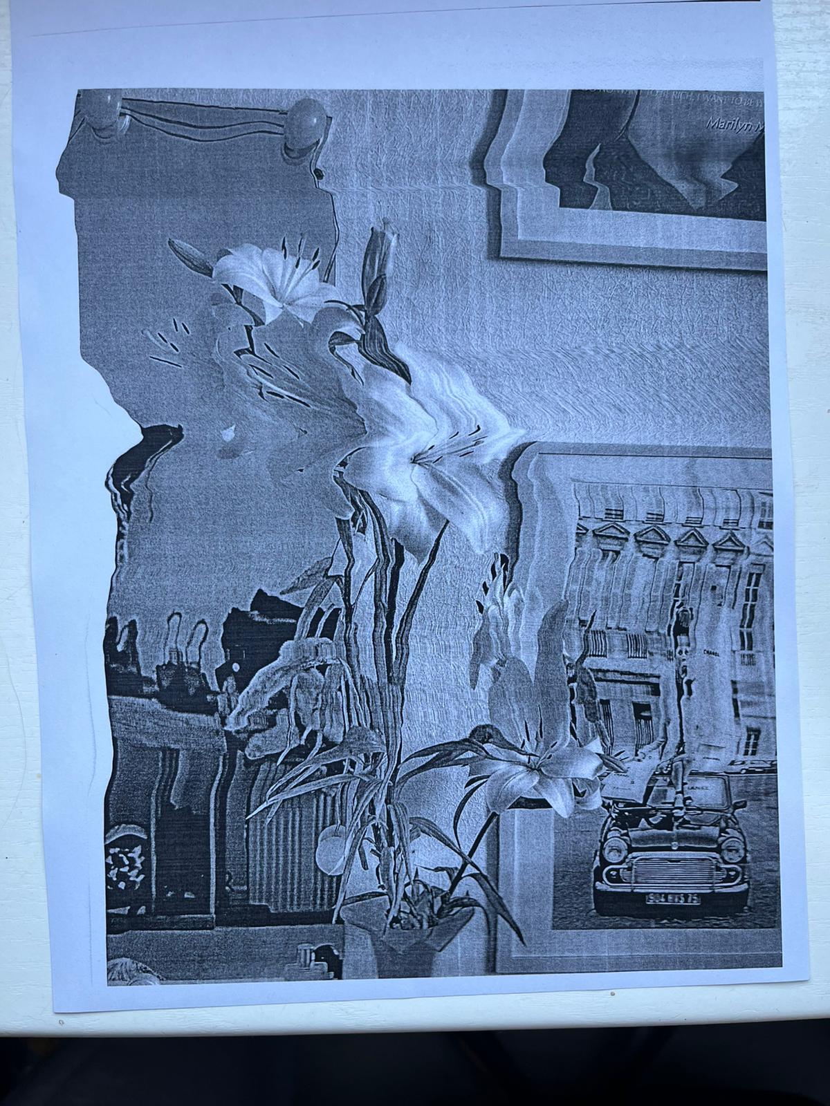 Puķe Print Glitch