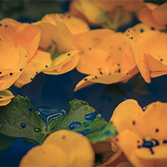 photo3