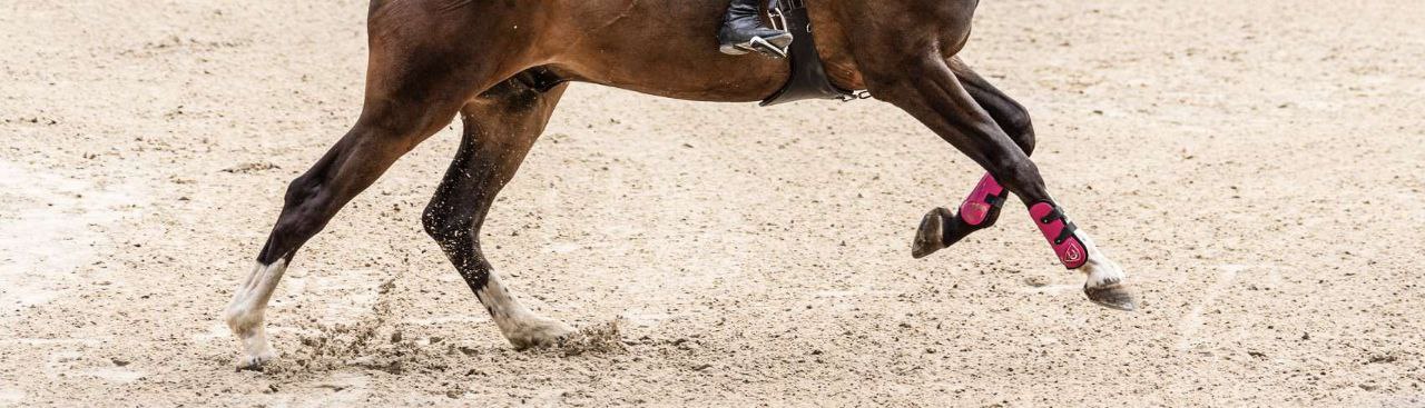 Bottom full-width image