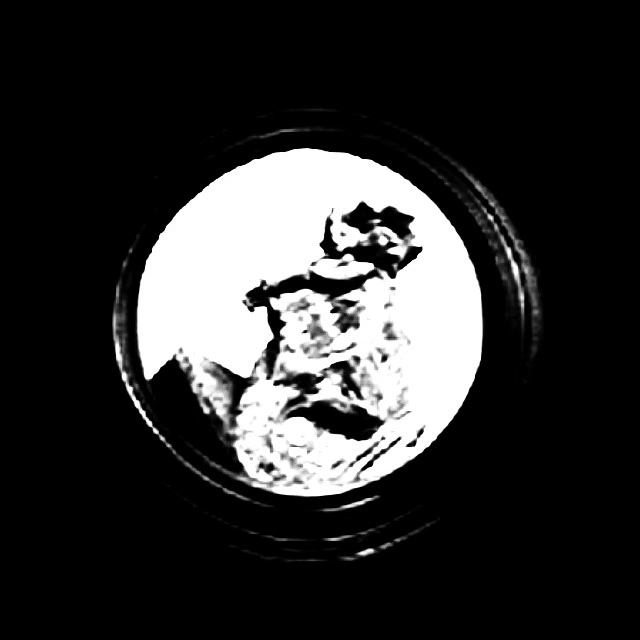 Gif 2