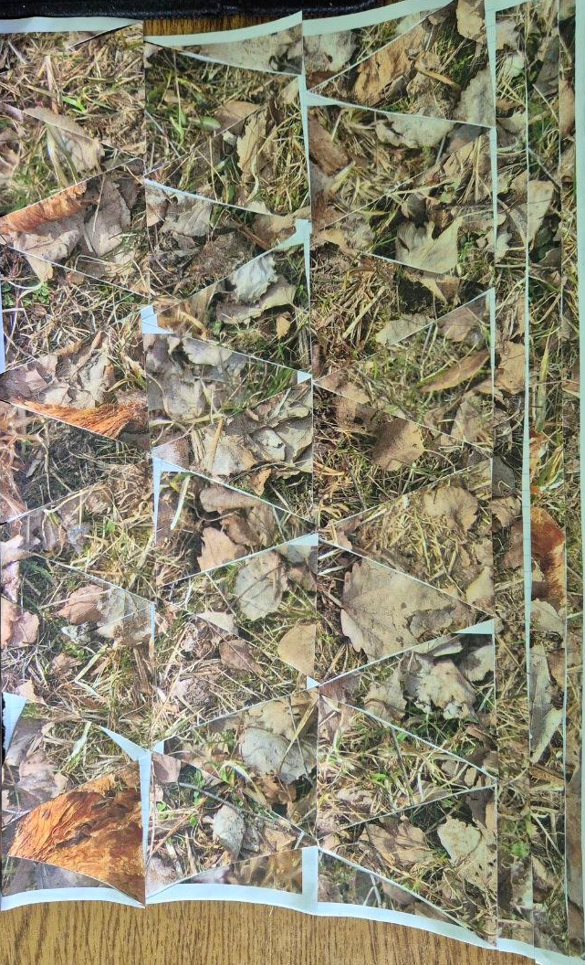 Forest Floor Collage I